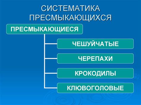 Причины автотомии у пресмыкающихся