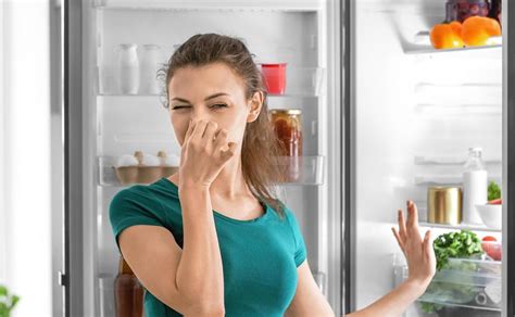 Причины и последствия проблем с отводом жидкости в холодильнике