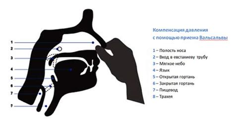 Проба Вальсальвы: суть и особенности