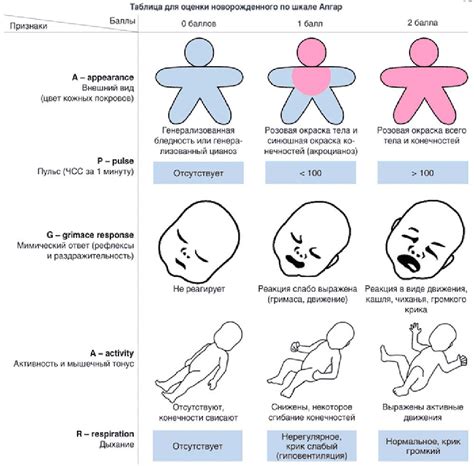 Проведение оценки состояния новорожденного по апгар-шкале