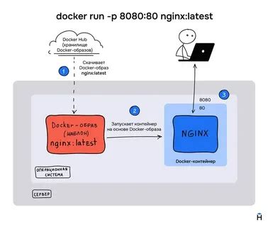 Проверка версии Docker и подготовка контейнеров