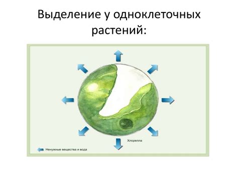 Проверка и удаление зараженных продуктов