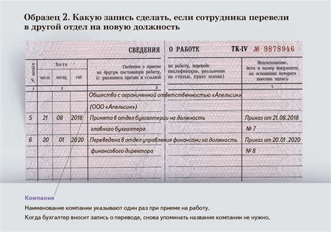 Проверка корректности заполнения элементов трудовой книжки
