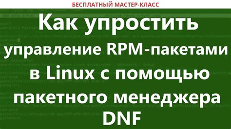 Проверка наличия необходимого пакетного менеджера на операционной системе Linux