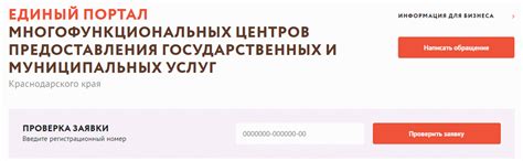 Проверка текущего статуса поданной заявки на официальном сайте