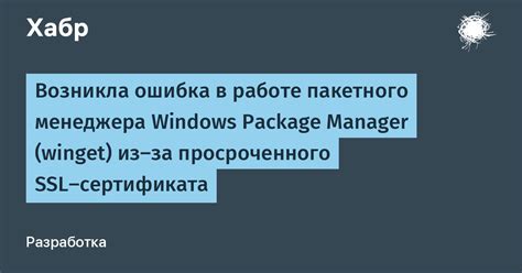 Проверка успешности установки пакетного менеджера