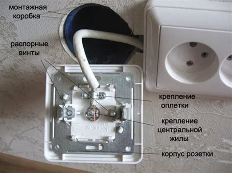 Проверьте работу розетки и кабеля питания