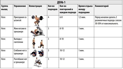 Программа тренировок на нижние конечности: основные принципы и рекомендации