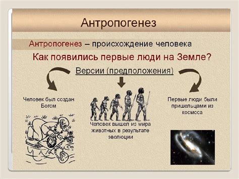 Происхождение и эволюция понятия "супруг материального отца брата" в истории