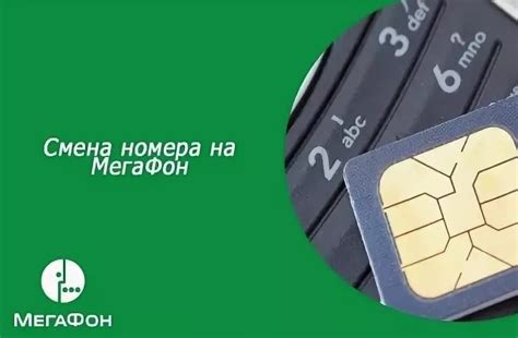 Простые методы определения личного номера МегаФон на собственном смартфоне