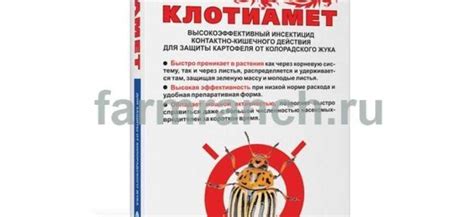 Противопоказания и возможные неблагоприятные эффекты от применения петрушковой маски