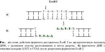 Профессиональные инструменты для анализа генетической информации