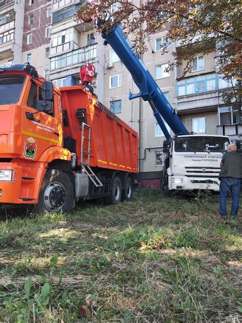 Профессиональные услуги по устранению повреждений, вызванных насекомыми, и восстановлению внешнего облика здания