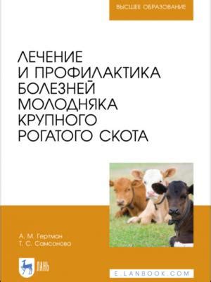 Профилактика и контроль здоровья молодняка индоутки: основные аспекты