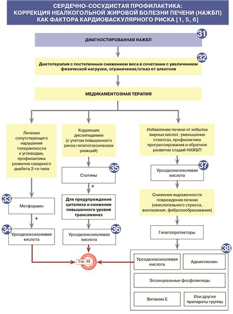 Профилактика повышенного уровня ЛДГ