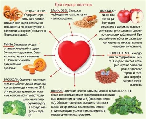 Профильное питание и функциональность сердца