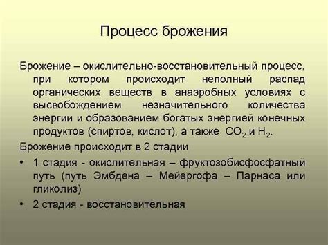 Процесс брожения и временные параметры