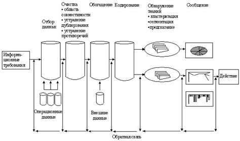 Процесс обработки и анализа собранной биологической жидкости перед применением