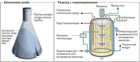 Процесс ферментации молока в специализированном приборе