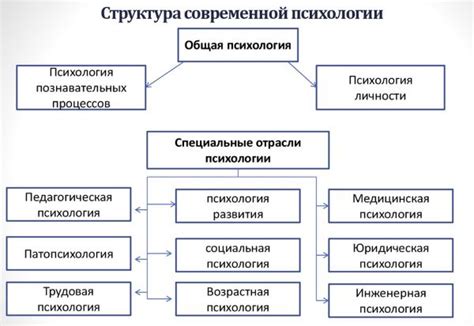 Процесс формирования специалиста в психологии и структура компетенций