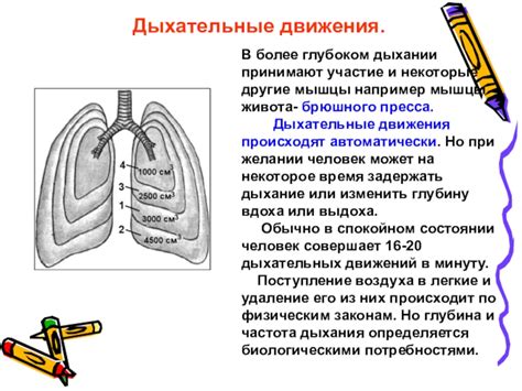 Психологические последствия акта сдерживания дыхания и сведения мышц живота в процессе ходьбы