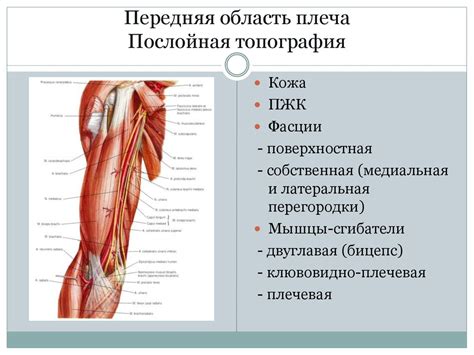 Психологический аспект паралича верхней конечности выше локтя