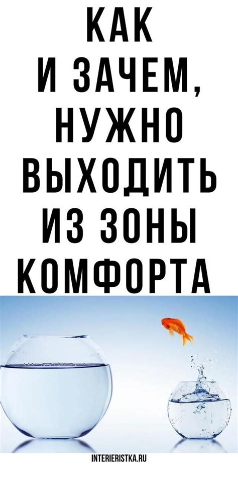 Путь к повышенному уровню комфорта: советы и подсказки