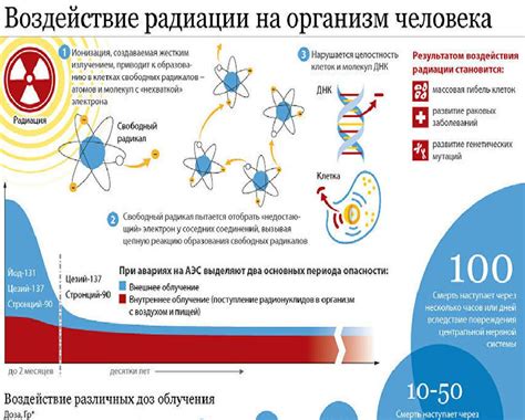 Путь к пониманию внутреннего возраста и его воздействие на жизнь человека