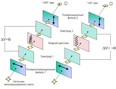 Работа важнейшей части жидкокристаллического дисплея: элементы, движение и процессы