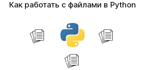 Работа с кодировками в Python: полезные подсказки и стратегии