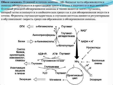 Разбор механизма аммиака в процессе стирки: основной принцип и его воздействие на результат