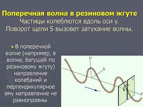 Раздвоение щели: частицы или волны?