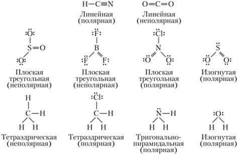 Различия в полярности молекул