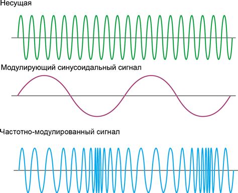 Различия между разными типами несессеров