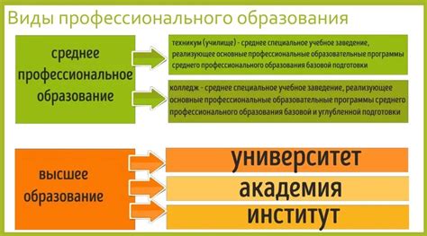 Различия между учебными заведениями: курсы, институты и академии