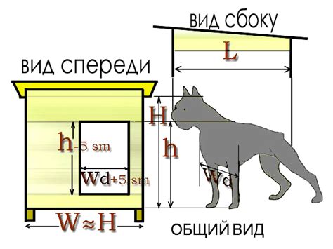 Размеры и форма вольера для Сибирских хаски