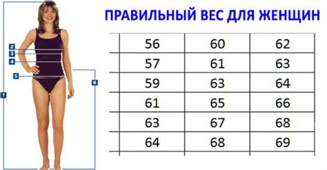 Размер и вес: кто крупнее, кто нежнее?