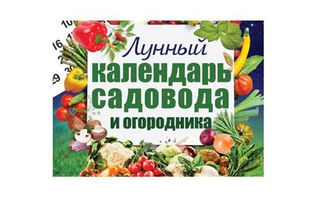 Размещение сеянцев: оптимальное расположение и выбор времени посадки