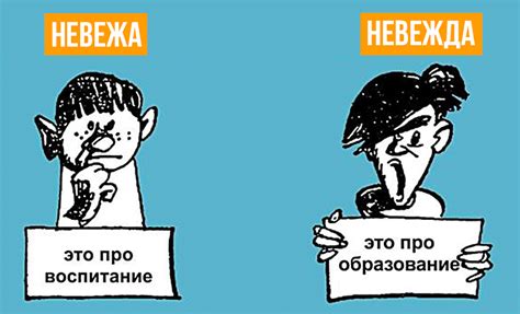 Разница между невежей и невеждой: какие значения у этих понятий?