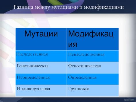 Разница между содиумом и другими модификациями для улучшения производительности