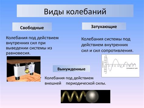 Разнообразие колебаний в физике