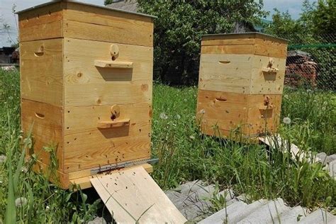 Разработка внешнего оформления и параметров улей для пчел