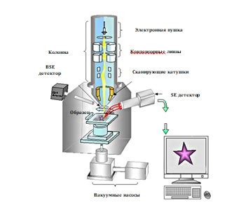 Разрешающая способность Сканирующего Электронного Микроскопа (СЭМ): до 0,1 нм