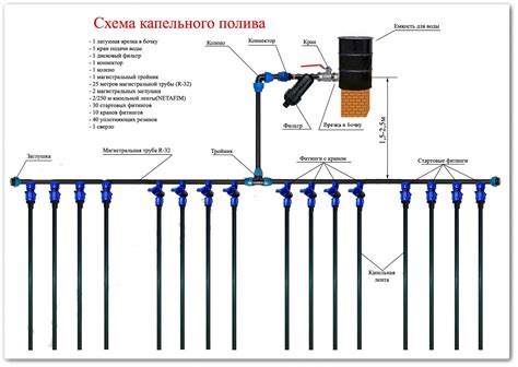 Расположение посадочных ящиков и подготовка капельного полива