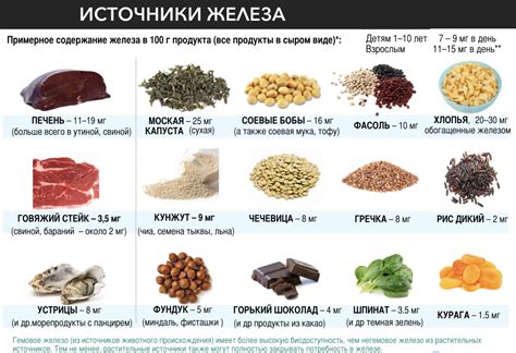 Растительные продукты: альтернативные источники железа для вегетарианцев