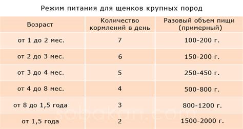 Рацион: частота и количество кормлений