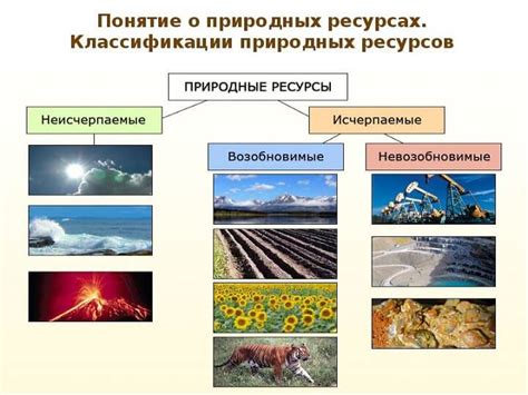 Рациональное использование ресурсов на старте: эффективное распределение активов