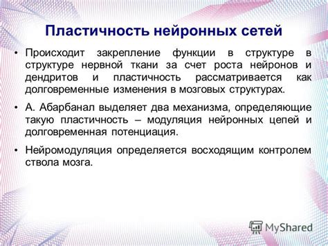 Реакция нейронных цепей на воздействие тряски шишки: механизмы обратной связи