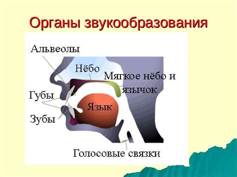 Регулярная тренировка для укрепления голосового аппарата