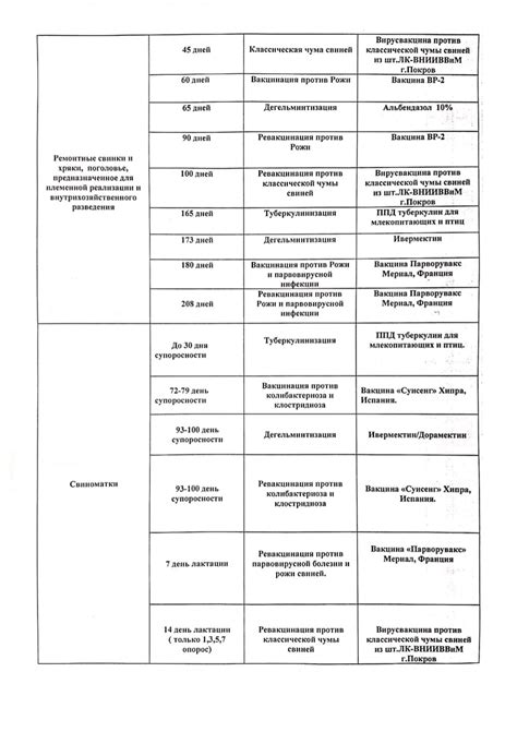 Регулярное проведение профилактических мероприятий: следствуйте всем приведенным советам на регулярной основе